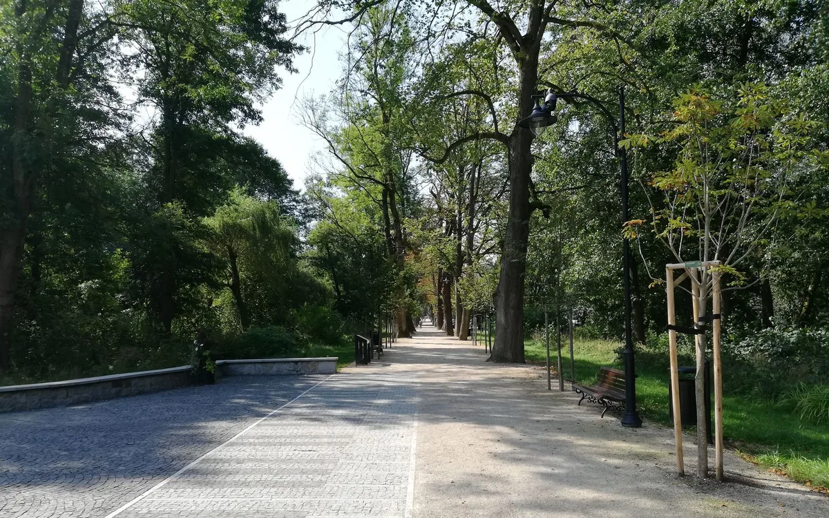 Czym różnią się Chopin, Modlin, Radom i Babice?