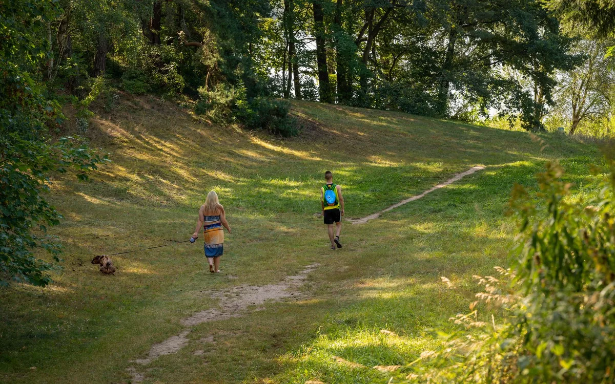 Jakie spacery i parki nie wymagają biletu?