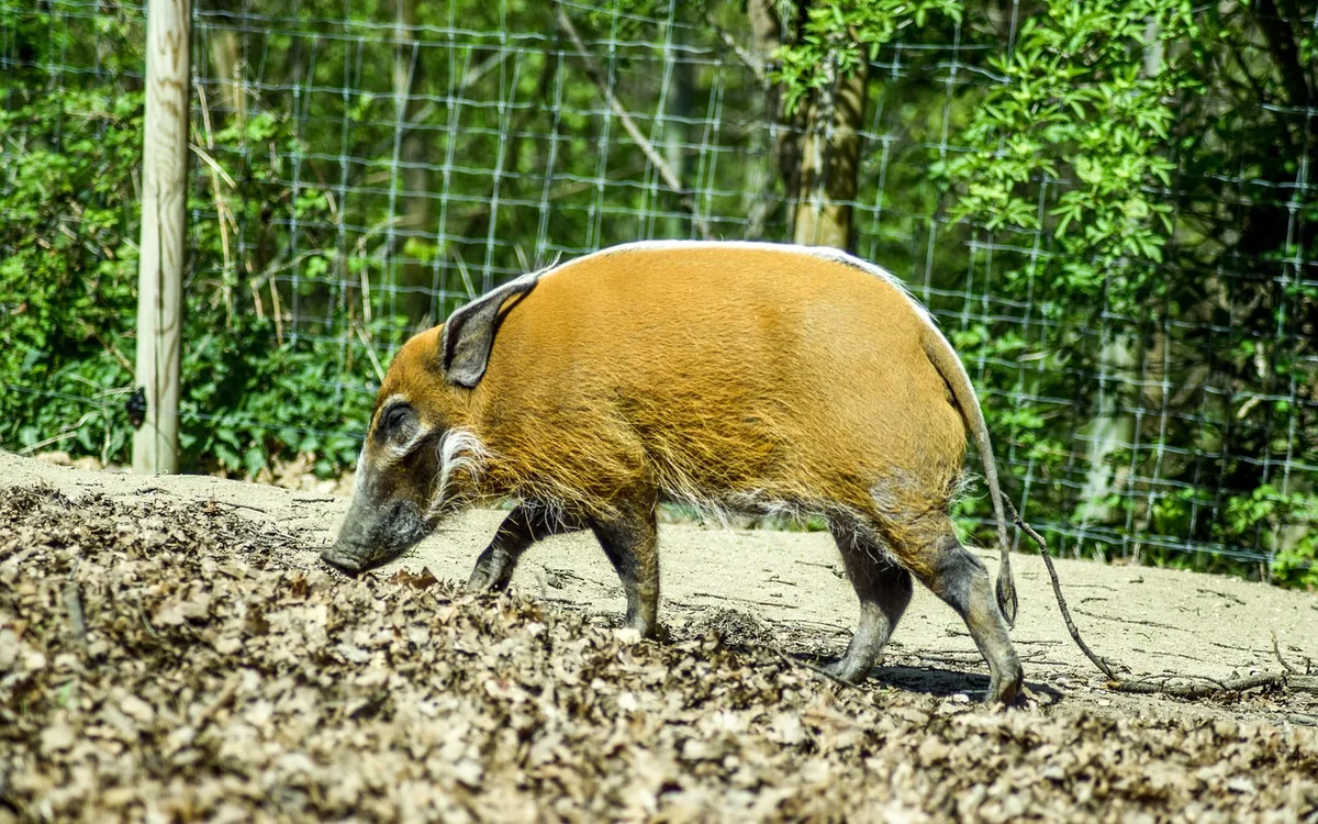 Jak dojechać, gdzie zaparkować i kiedy odwiedzić Wilanów?