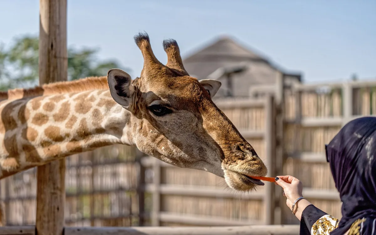 Ile czasu zajmuje zoo z dzieckiem?