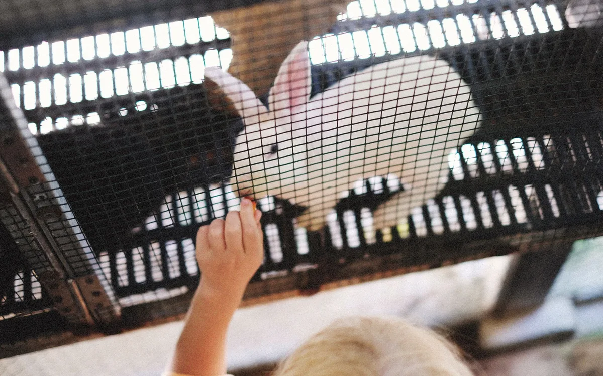 Mini zoo z dzieckiem w różnym wieku